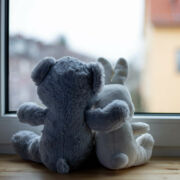 Dos animales de peluche frente a una ventana, uno tiene su brazo alrededor del otro