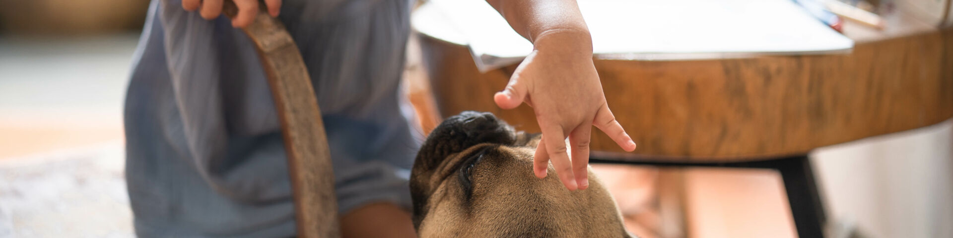 Una niña acariciando un perro