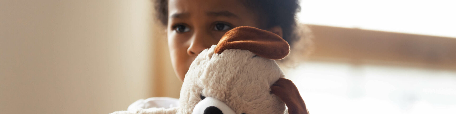 Niño pequeño sosteniendo un animal de peluche