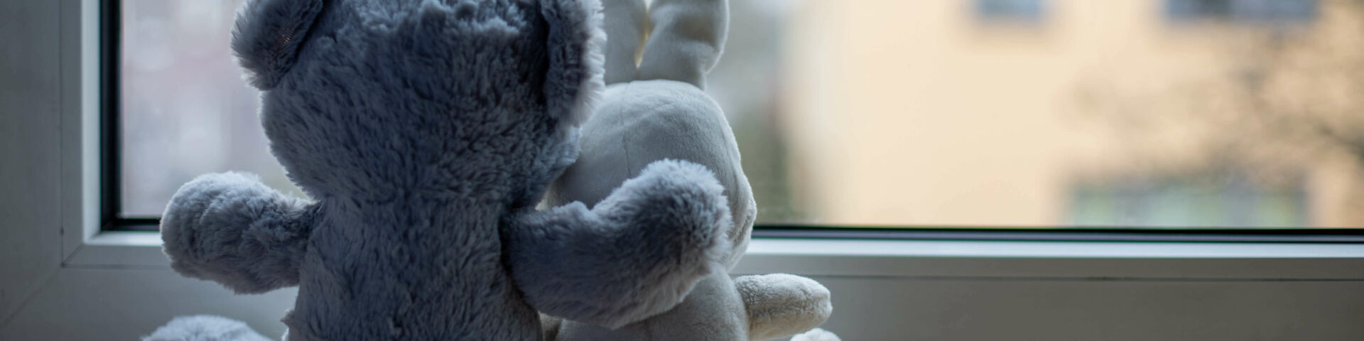 two stuffed animals in front of a window one has its arm around the other