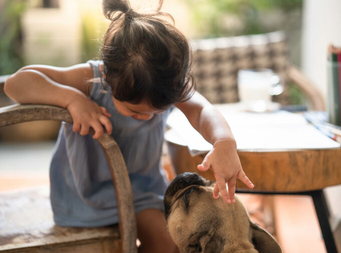 Little girl petting dog